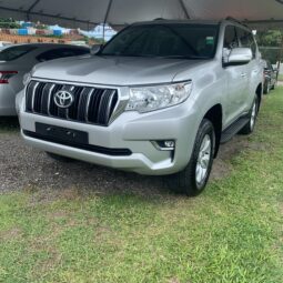 Toyota Prado TXL 2019 full