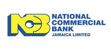 Financial-Partners-Logos-NCB-1b