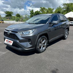 Toyota RAV4 2020 full