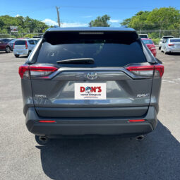 Toyota RAV4 2020 full
