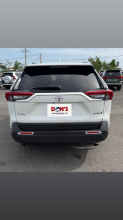 Toyota RAV4 2021 full