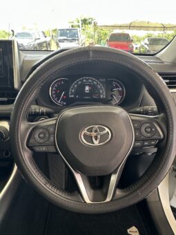 Toyota RAV4 2019 full