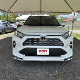 Toyota RAV4 2019 full