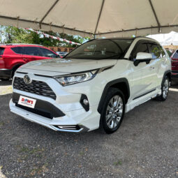 Toyota RAV4 2019 full