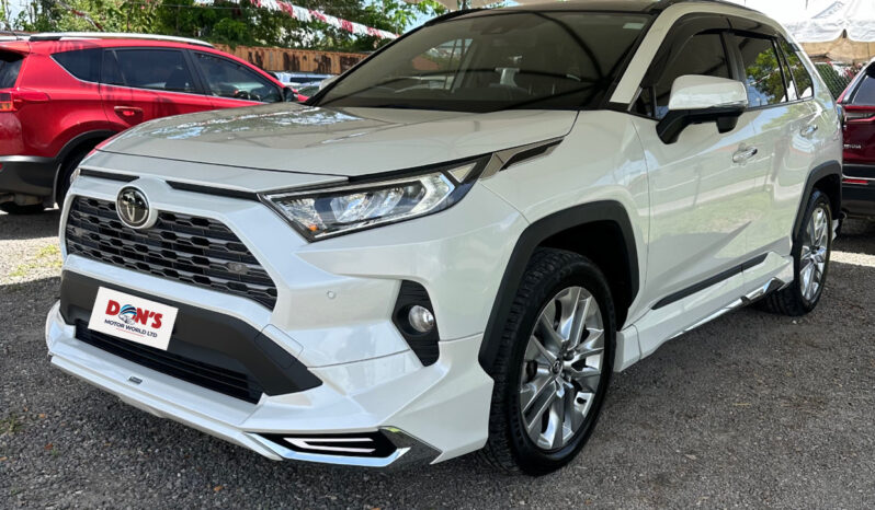 Toyota RAV4 2019 full