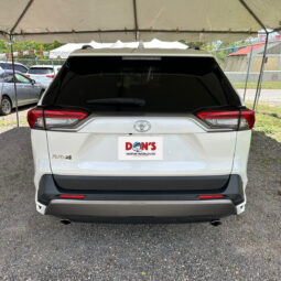 Toyota RAV4 2019 full